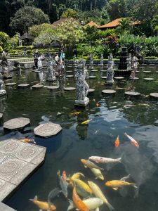 bali turları -Derya travel